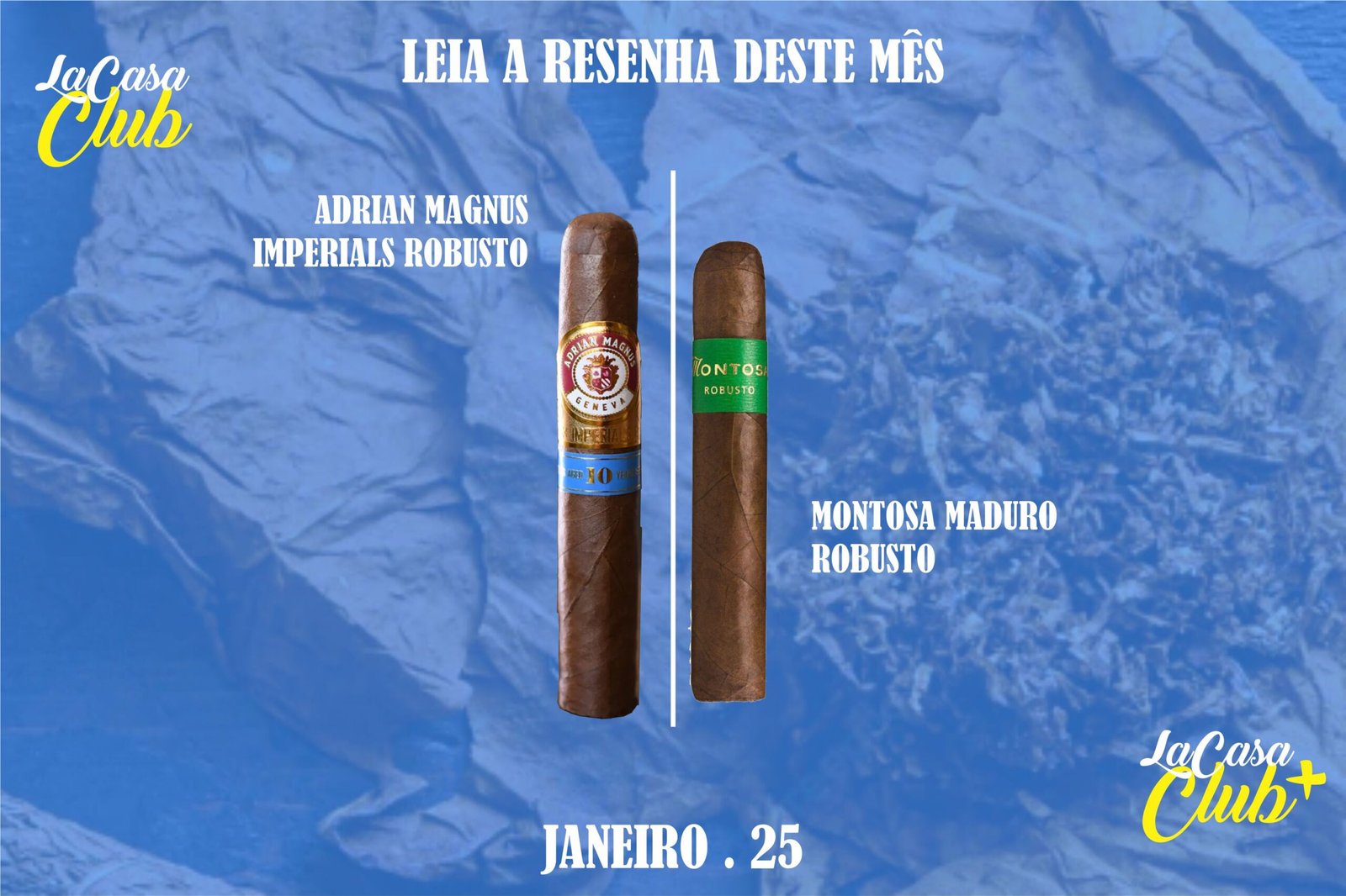 Adrian Magnus Imperials Robusto | Montosa Maduro Robusto