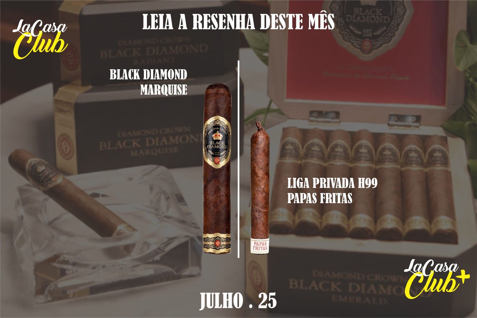 Black Diamond Marquise | Liga Privada H99 Papas Fritas