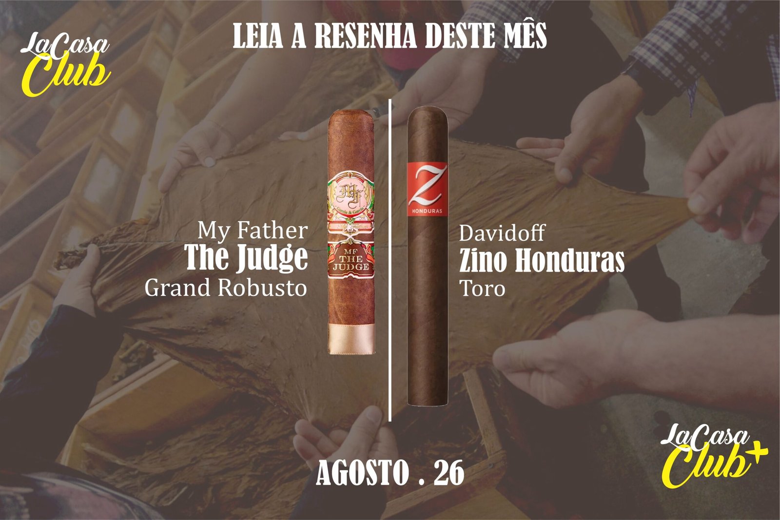 My Father The Judge Grand Robusto | Davidoff Zino Honduras Toro