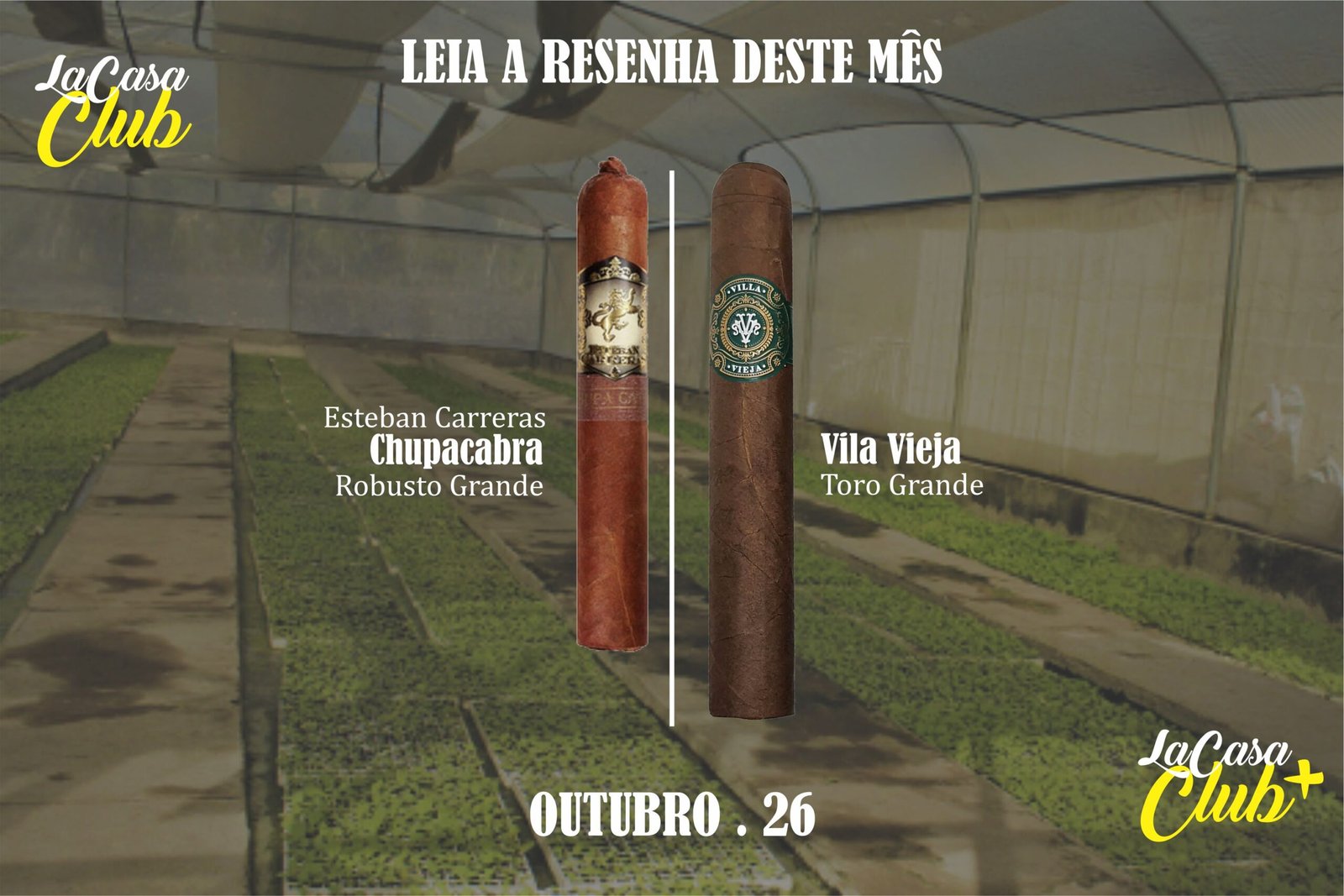 Esteban Carreras Chupacabra Robusto Grande | Vila Vieja Toro Grande